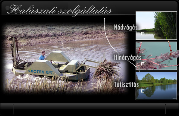 Hal�szati szolg�ltat�s (n�dv�g�s, h�n�rv�g�s, t�tiszt�t�s